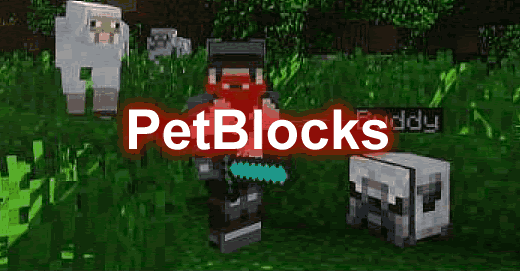 PetBlocks-1-1.png